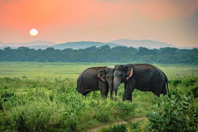 Udawalawe National Park